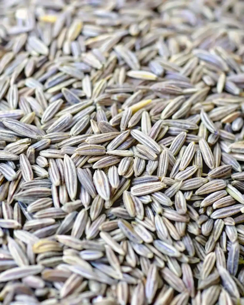 Bariatric Seed Tea Recipe for Weight Loss Cumin Seeds (1 tsp)