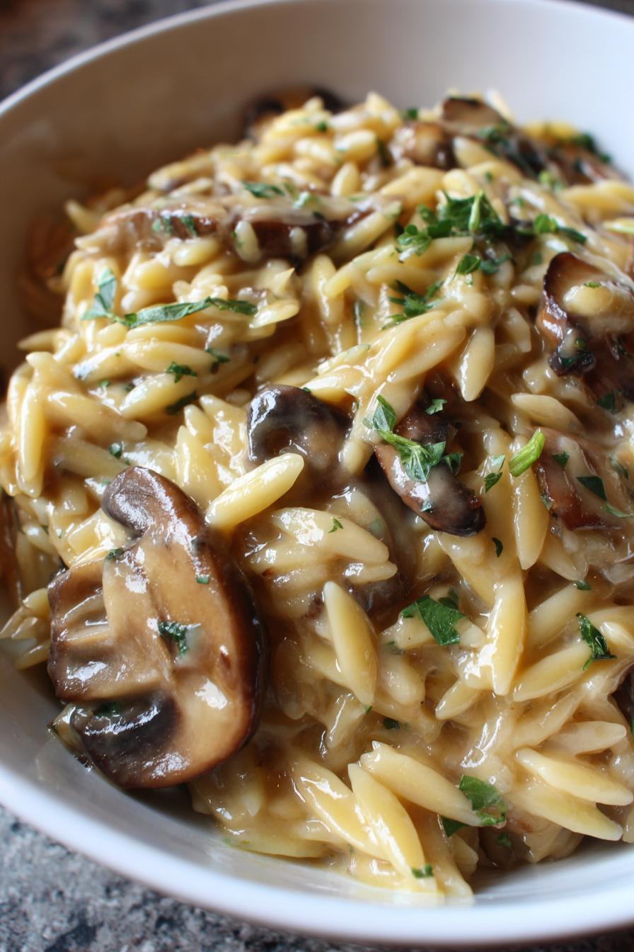 Creamy Mushroom Orzo