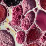 High protein berry yogurt bark